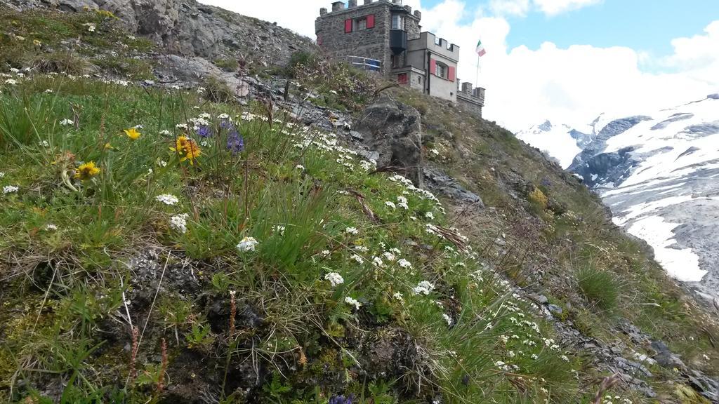 Rifugio Garibaldi Hotel Passo do Stelvio Exterior foto